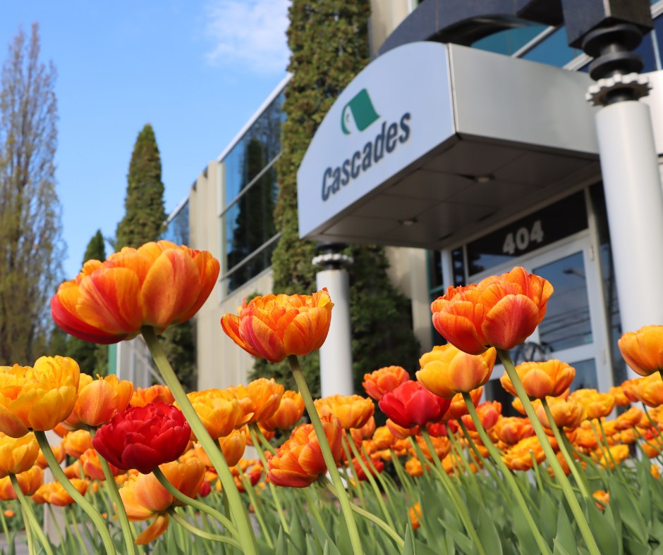 Cascades продала завод на юге США