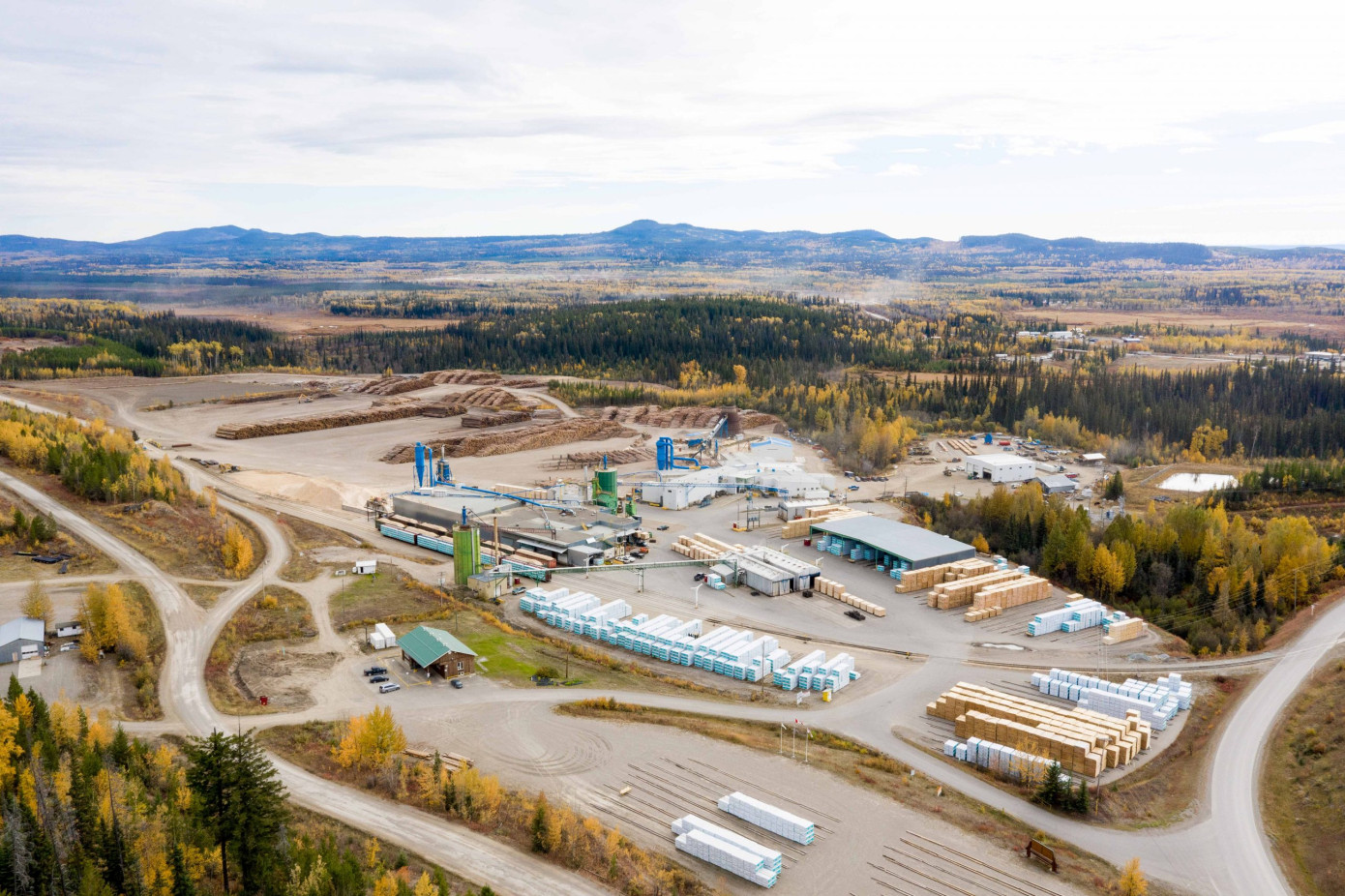 Sinclar cuts output by 40% at three B.C. lumber mills
