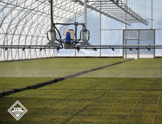 Устьянский селекционно-семеноводческий центр оптимизирует контроль микроклимата в теплицах