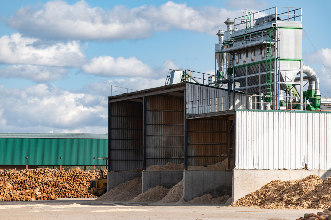 Exports of wood chips from Thailand surge 68% in March