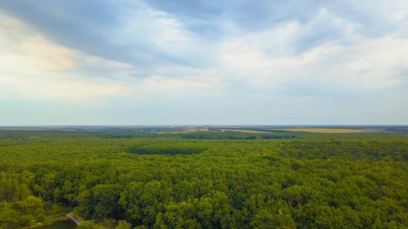 Campbell Global buys Sandpiper Forest, adding 29,760 Louisiana acres