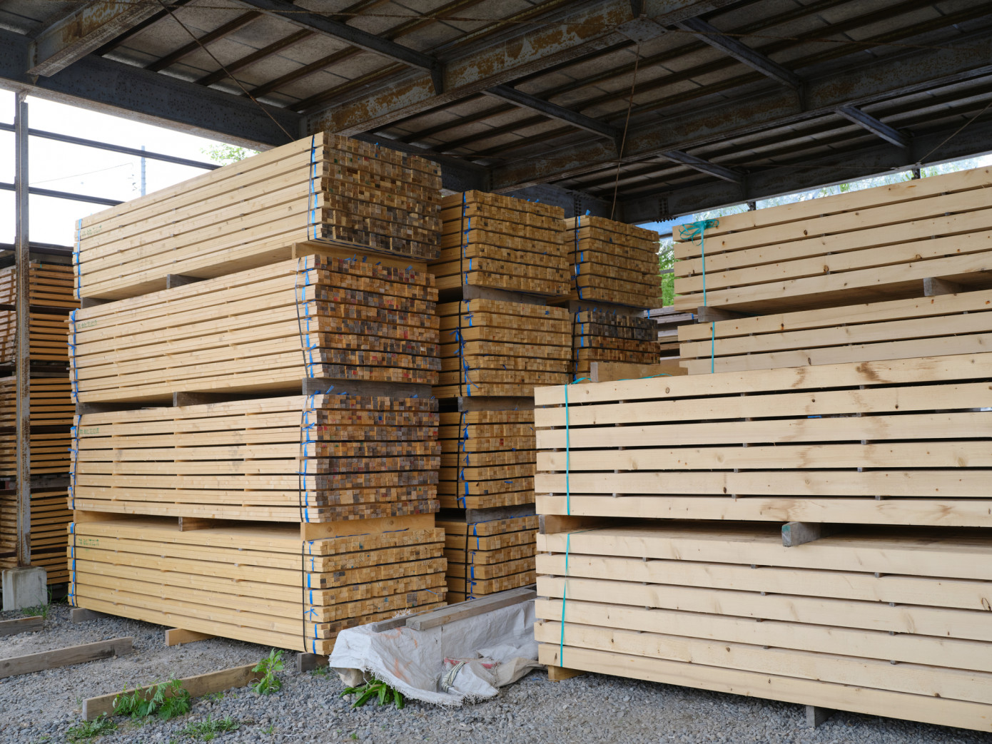 Madison"s Lumber Prices Index rises 2% to $501