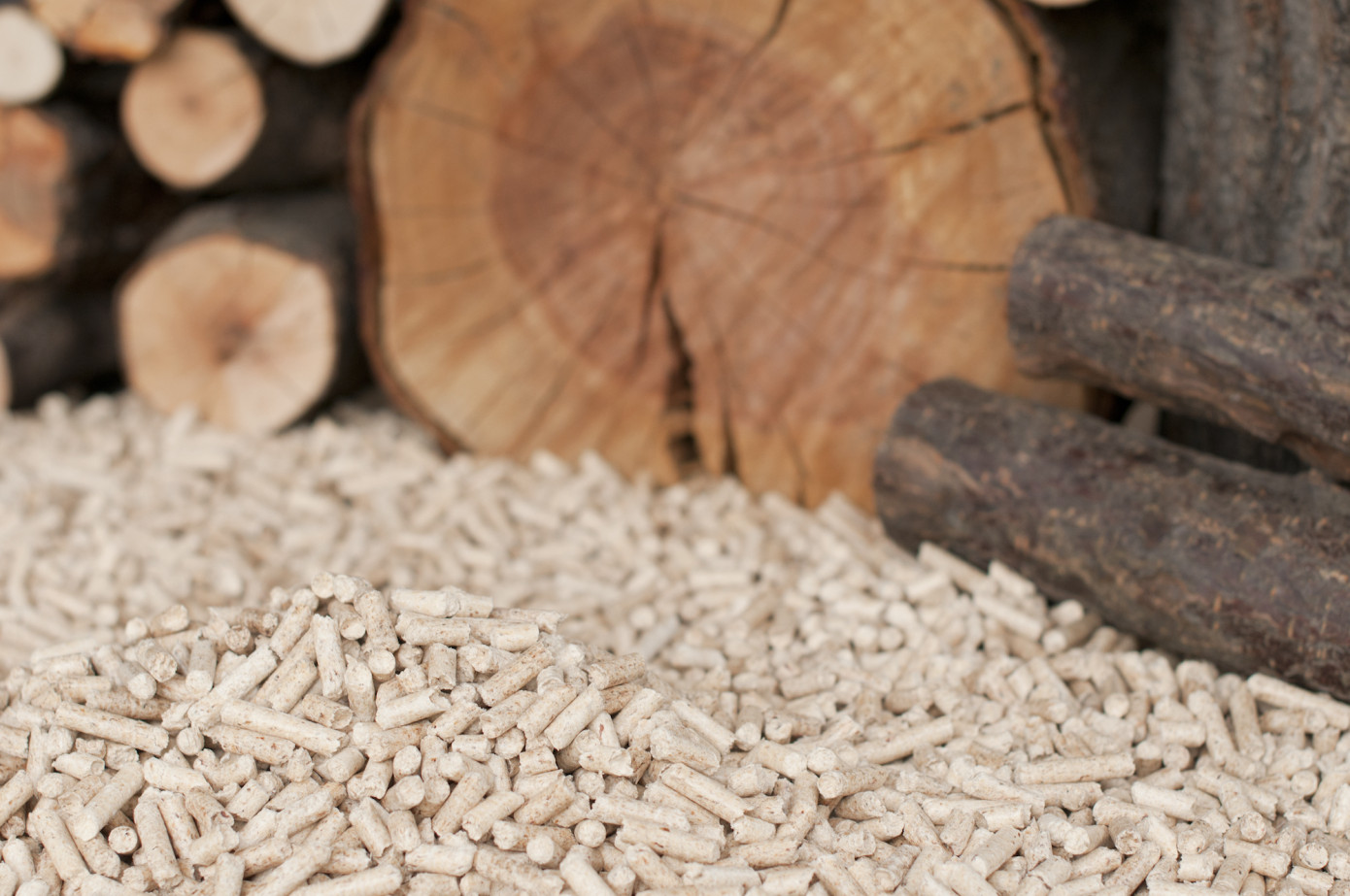 Exports of wood pellets from Canada decrease 29% in August