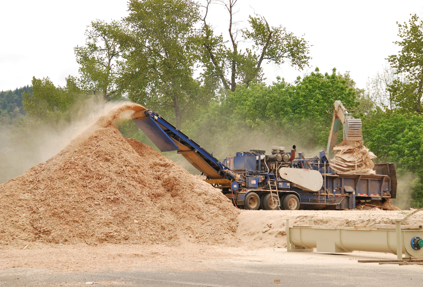 Canada softwood chips production falls 15% in January