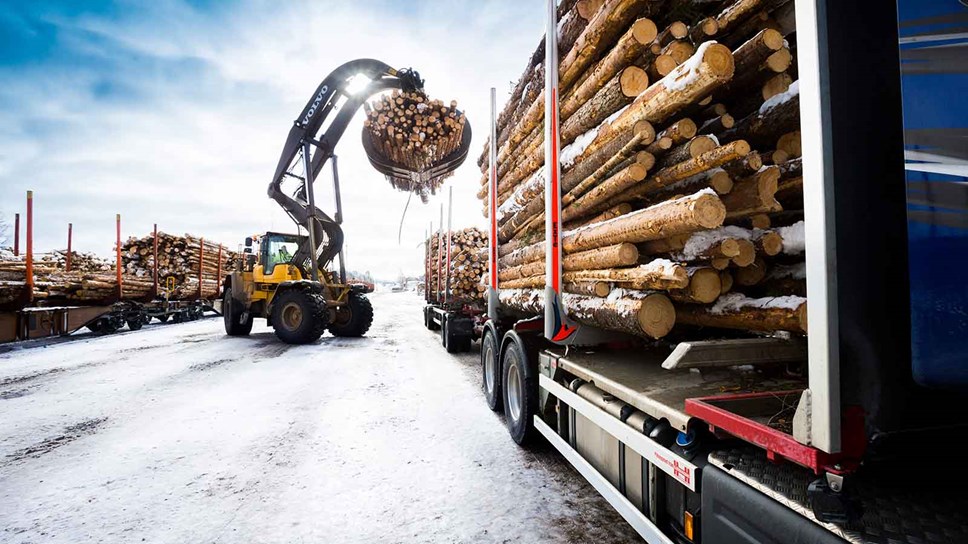 Metsä Board acquires Winschoten sheeting and distribution hub in the Netherlands