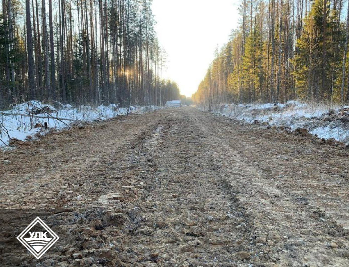 Устьянский леспромхоз строит летние лесовозные дороги