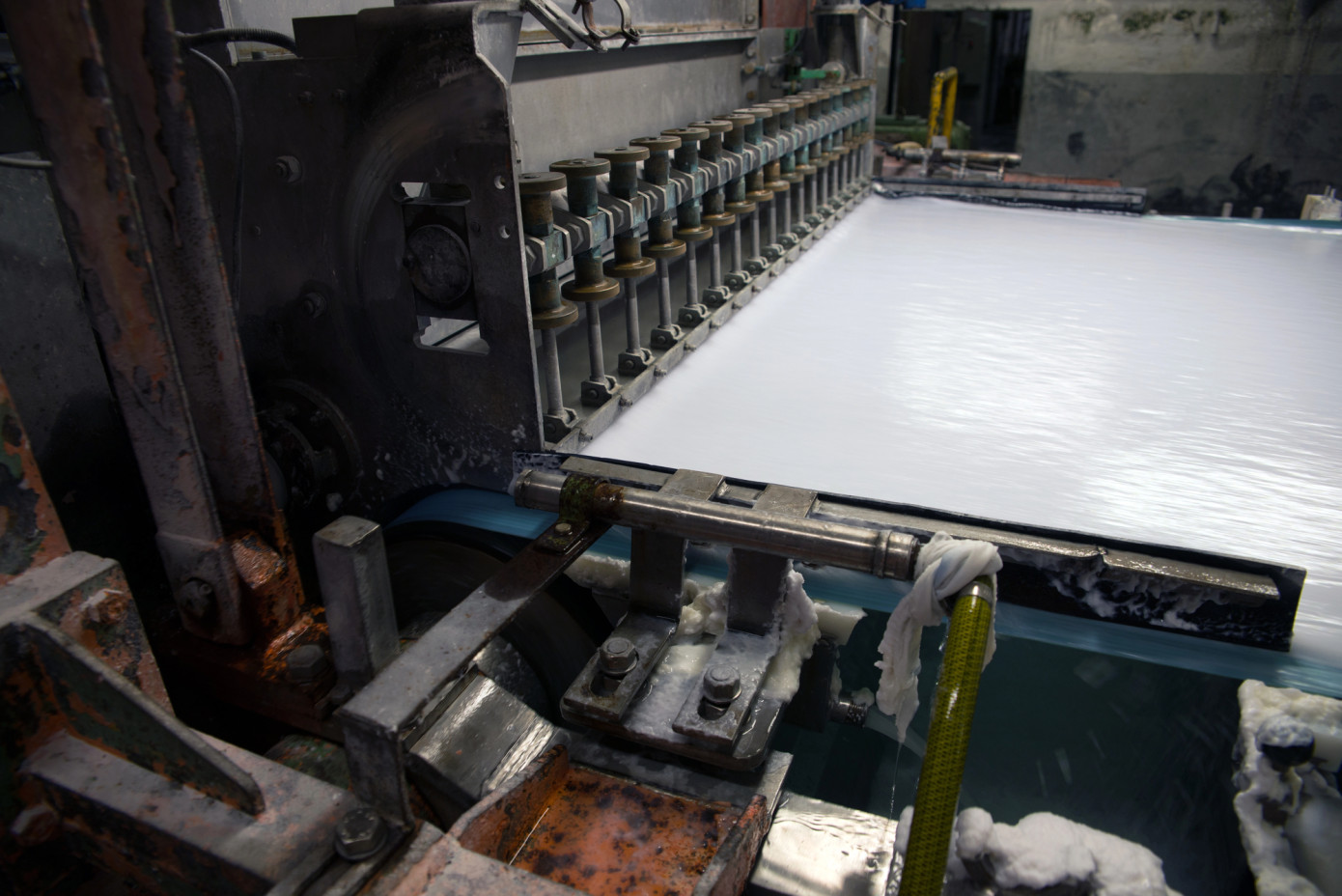 Brazil"s wood pulp exports grow 1% in third quarter