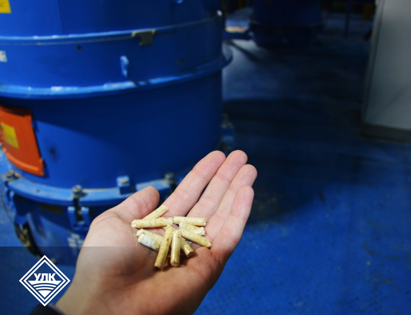 Вельский ЛПК модернизировал прессовое оборудование на линии производства пеллет