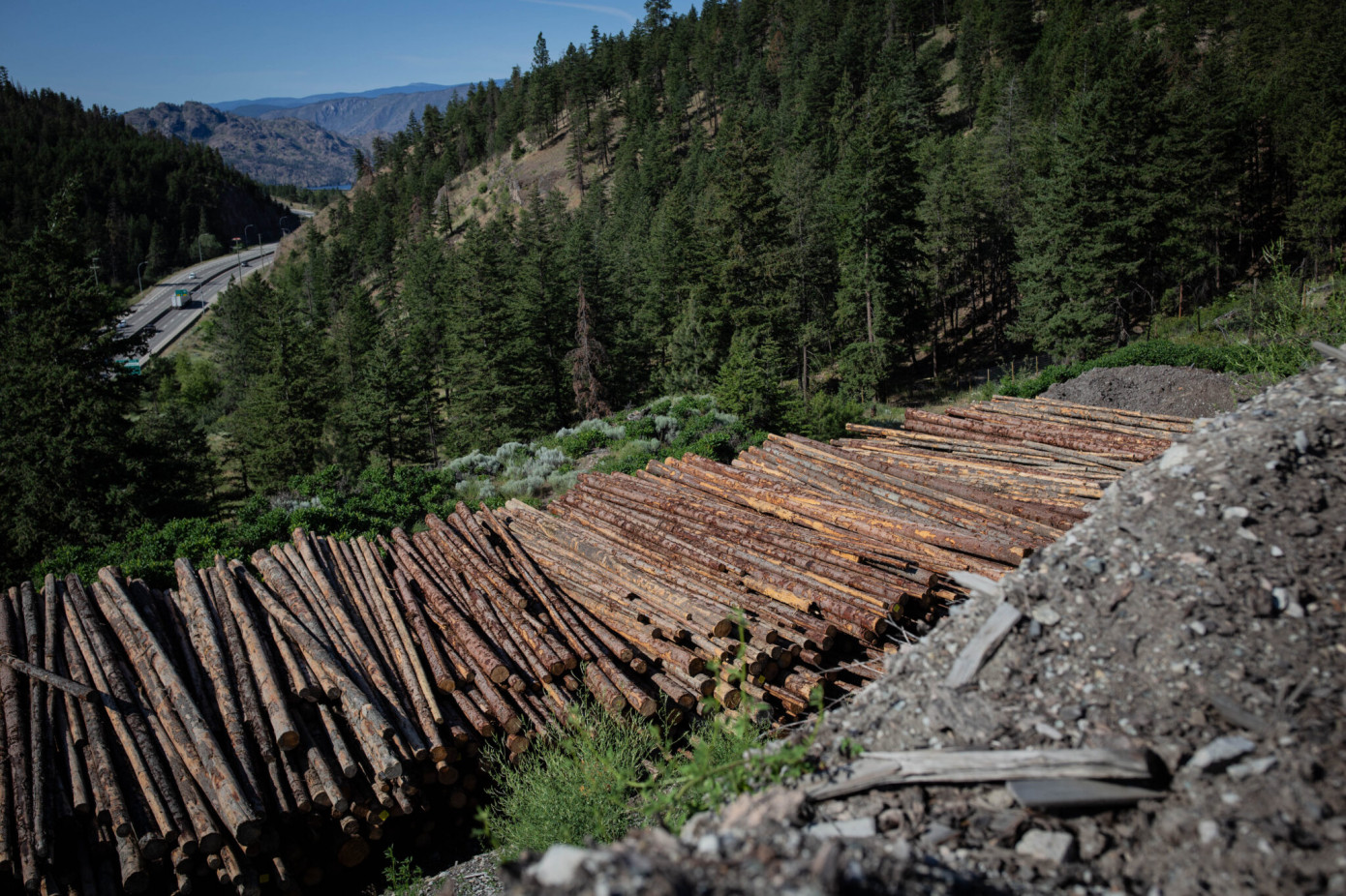 Weyerhaeuser окончательно завершила крупную сделку в Британской Колумбии