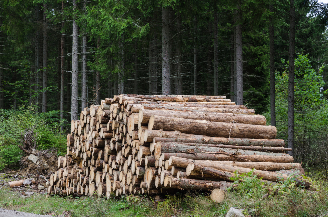Slovenia"s roundwood purchase value falls 7% in September