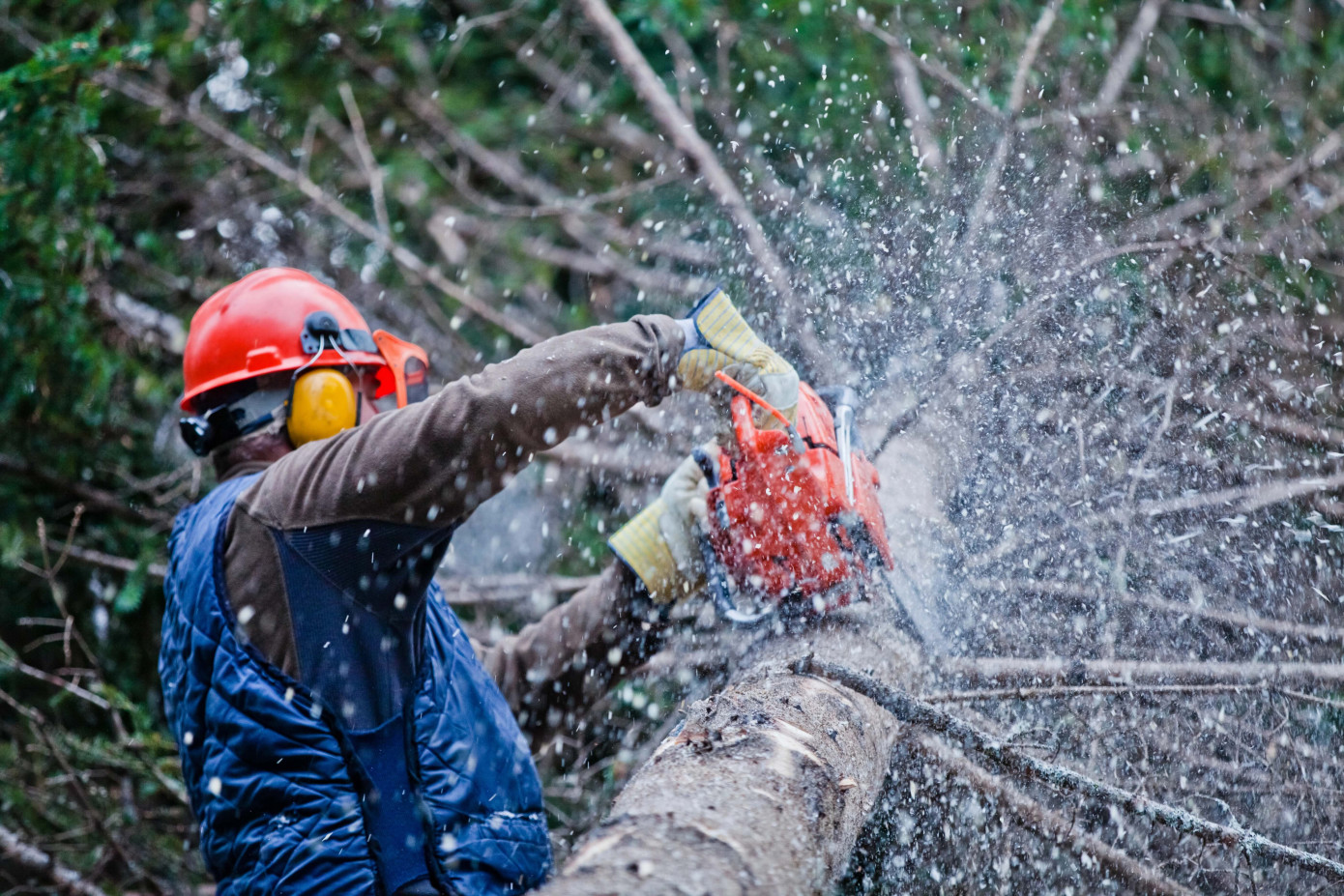 Finland’s January–March industrial roundwood harvest drops 7%