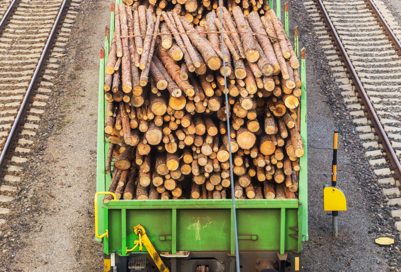 Exports of logs from New Zealand increase 6% in June