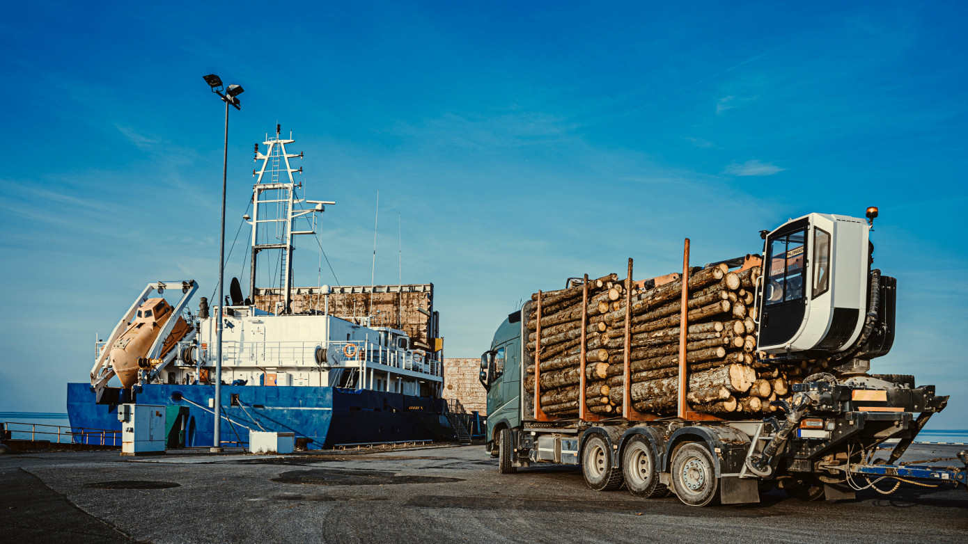 Imports of softwood logs to China increase 10% in June