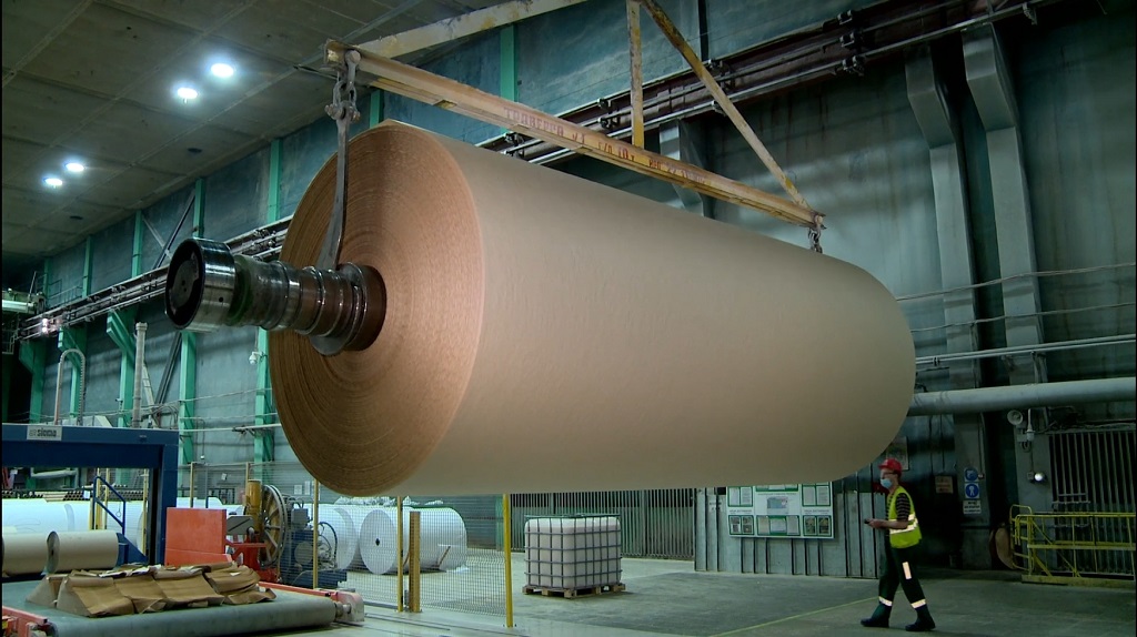 International Paper may sell 50% stake in Russian Ilim Group