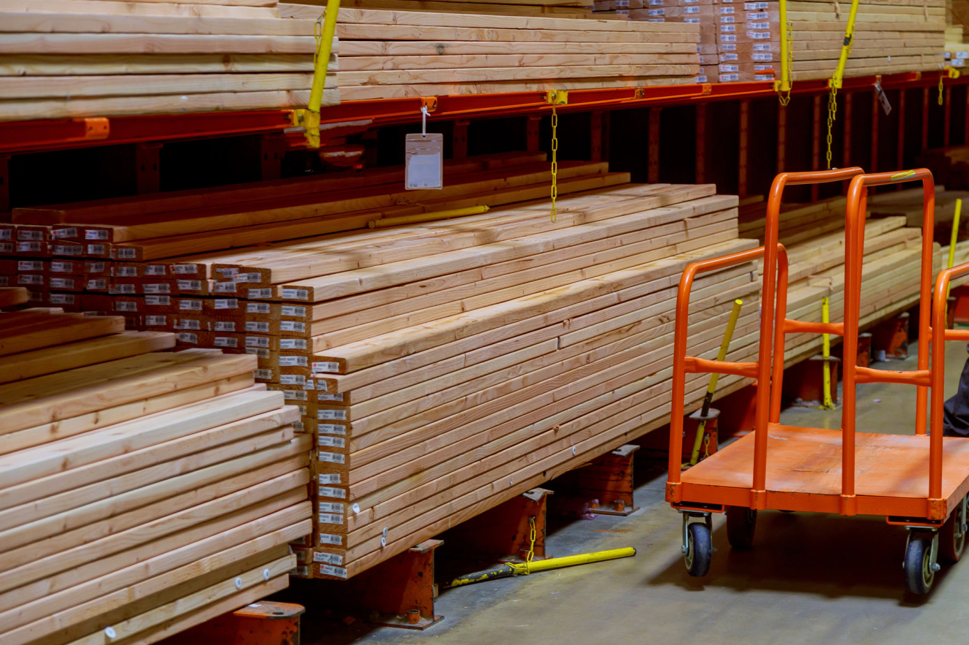 Imports of lumber to Egypt lose 15% in November