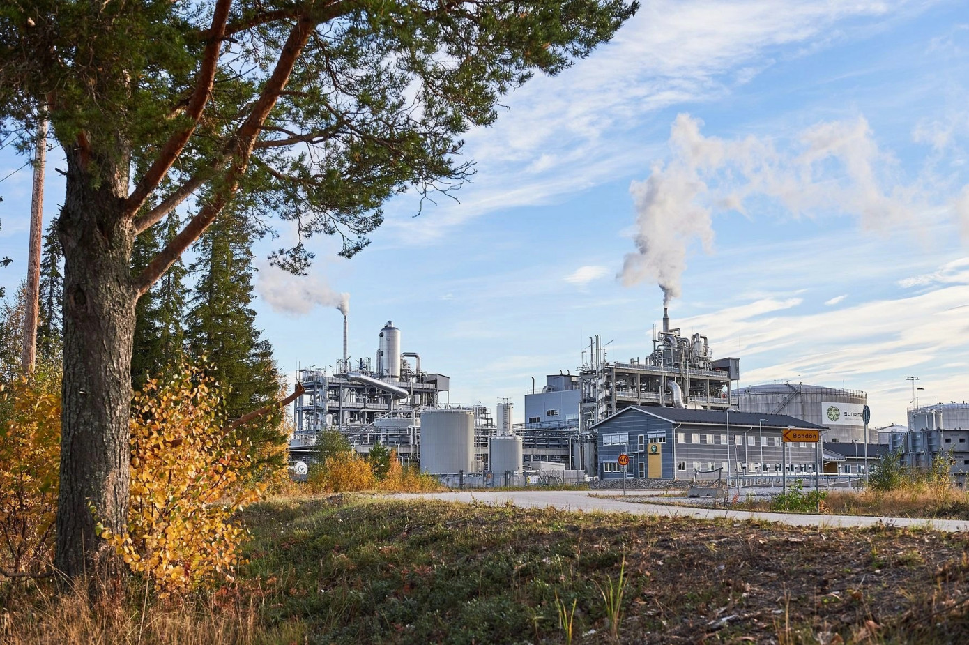 Södra продаст долю в Sunpine