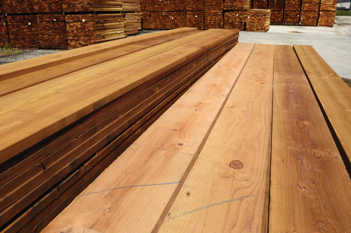 Argentina wood-product producer prices edge down in June