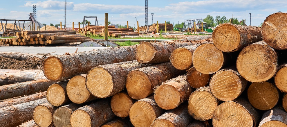 В июле балансовая древесина в Финляндии подешевела на 4-5%
