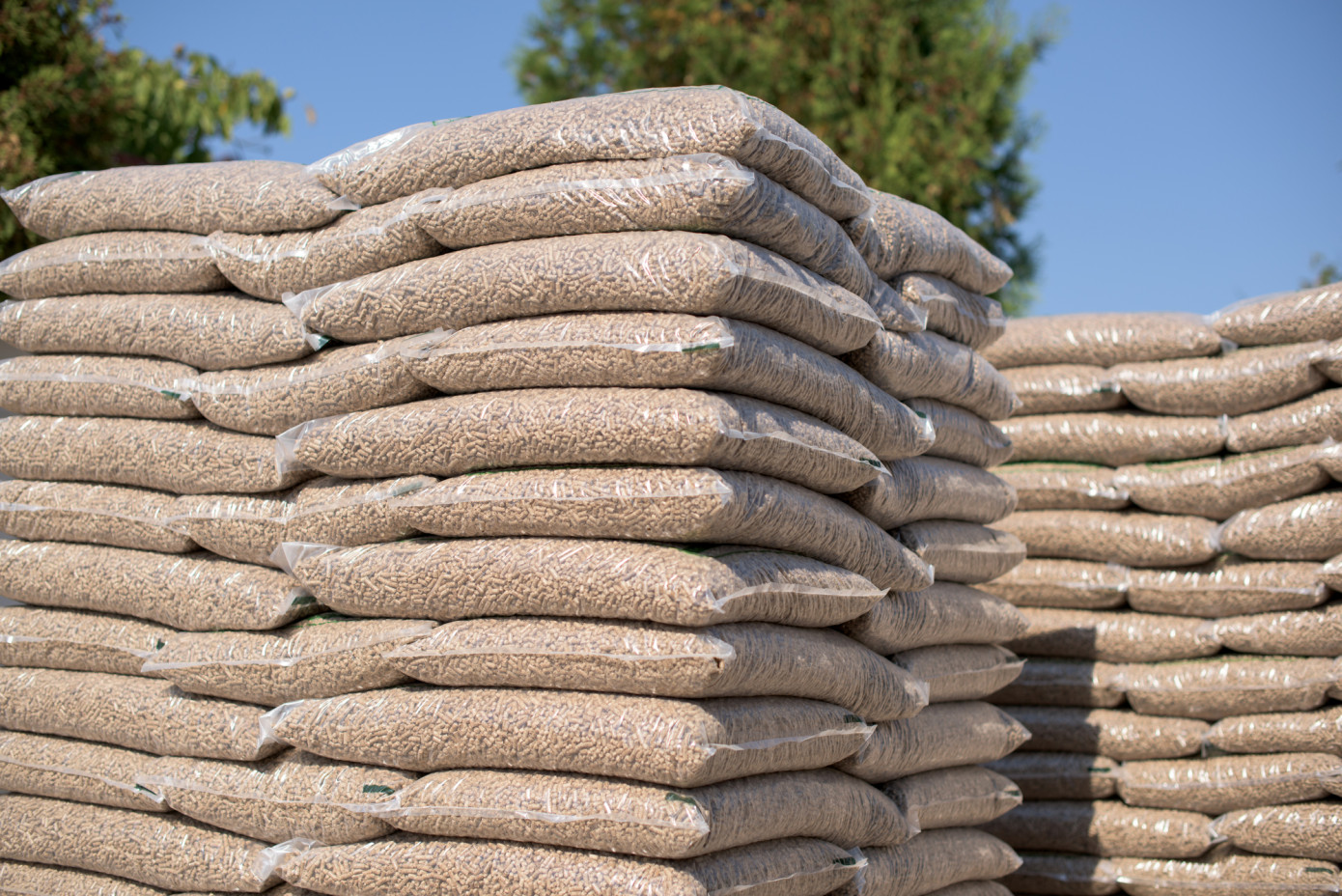Imports of wood pellets to UK increase 11% in January