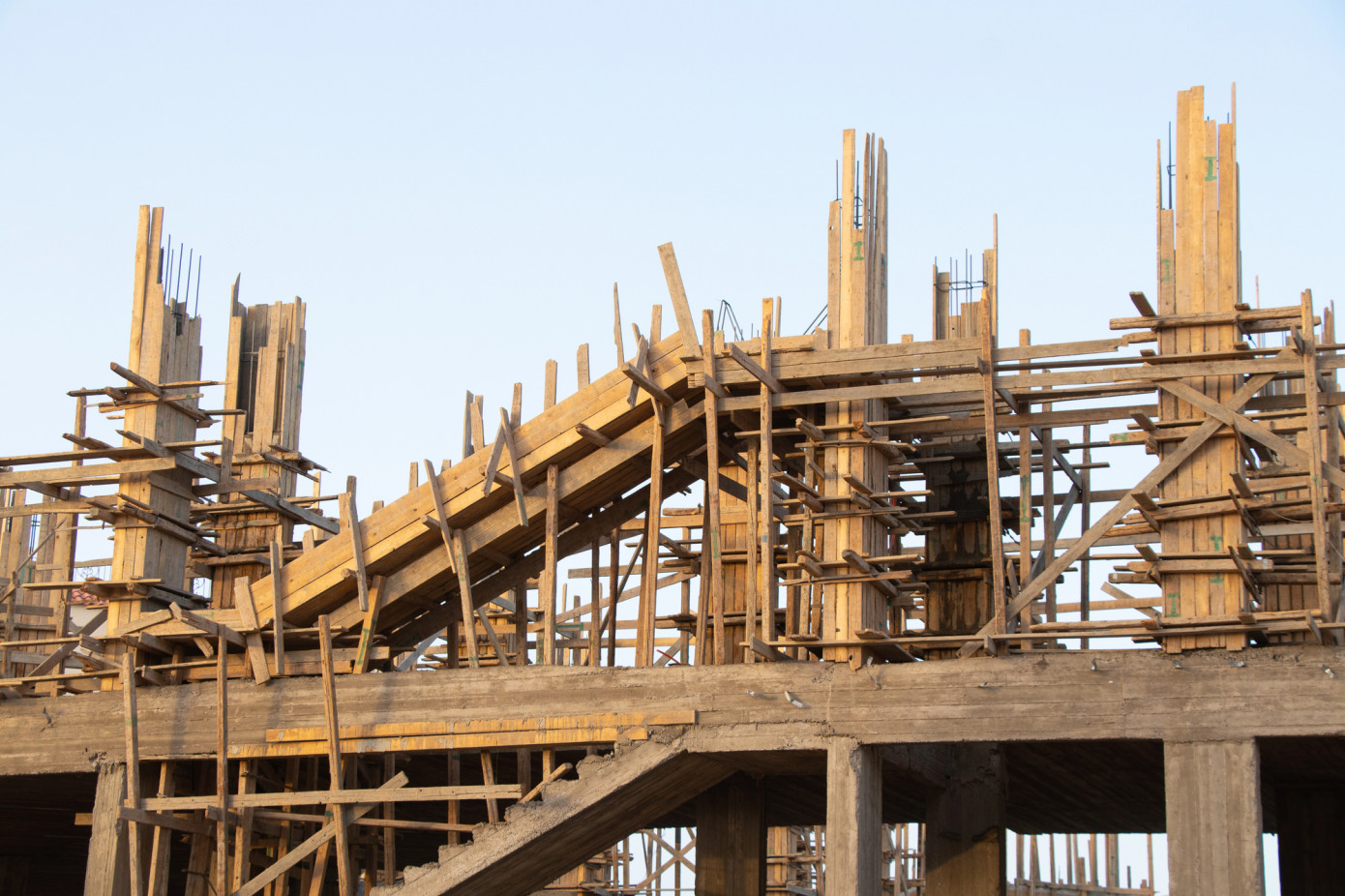 Egypt’s softwood lumber demand to weaken in Q2 2026