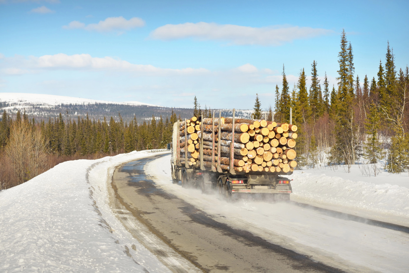 Russia on track to lose its forest-based industry