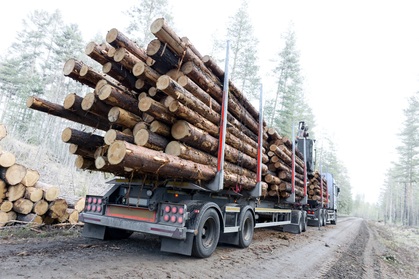 Finland’s standing-sale pulpwood prices fall again in February, declines ease