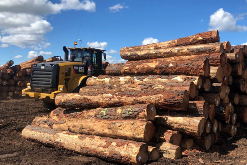 Australia allocates A$150 million to forestry industry