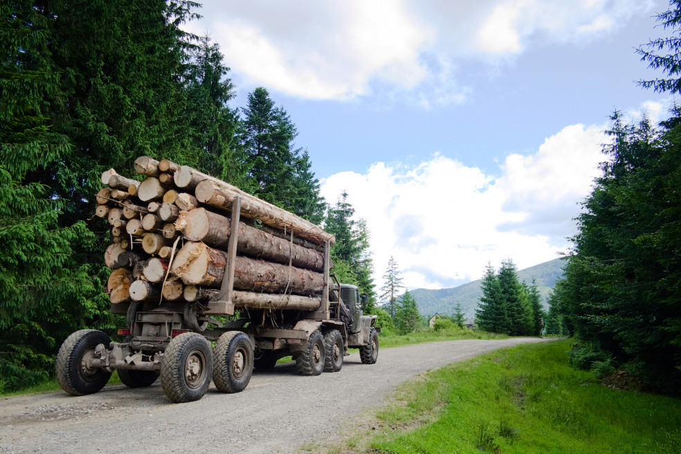 Finland roundwood prices rise in June