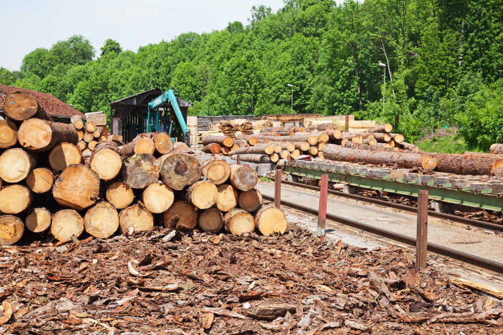 Japan targets 28% more domestic construction wood use by 2030
