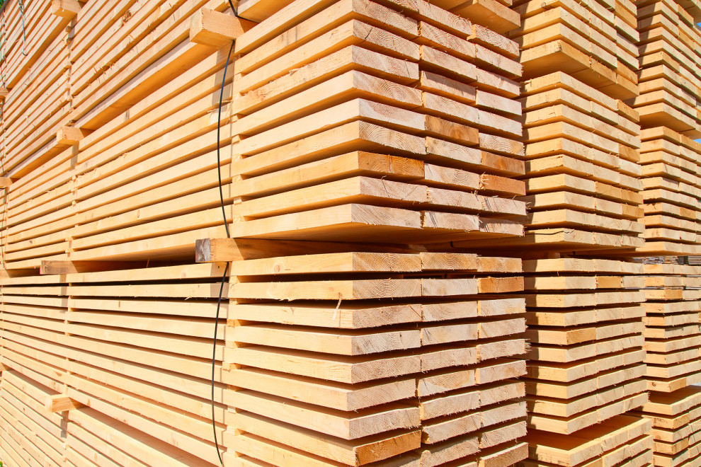 Ontario funds $17.3 million in four forestry projects