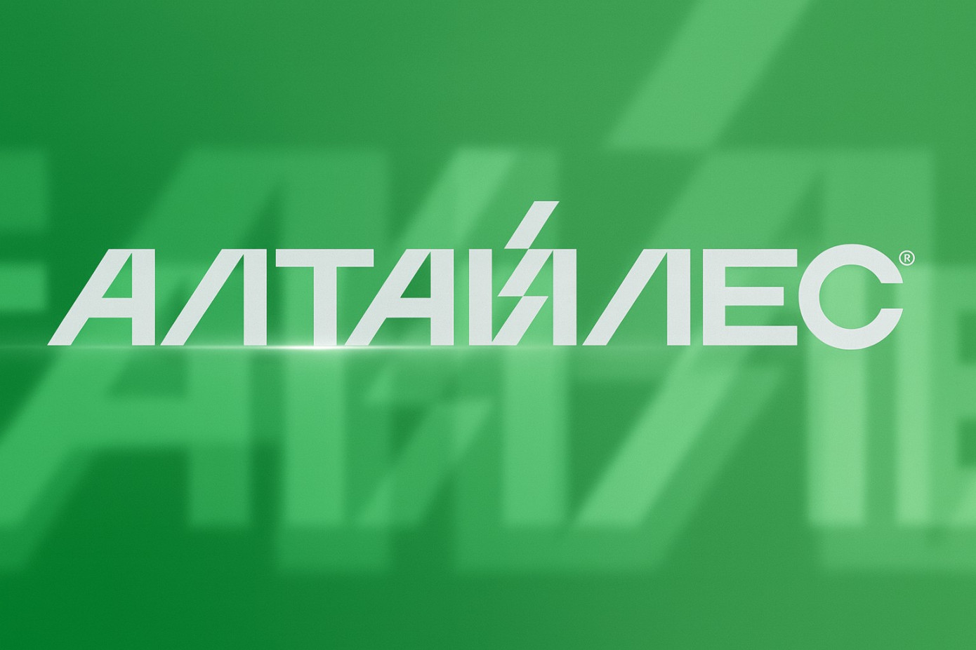 Холдинг «Алтайлес» открыл новый контейнерный терминал