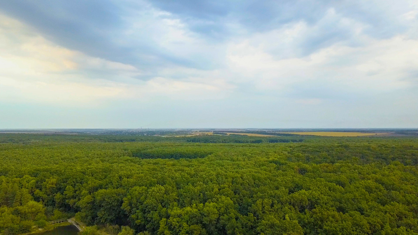 Campbell Global buys Sandpiper Forest, adding 29,760 Louisiana acres