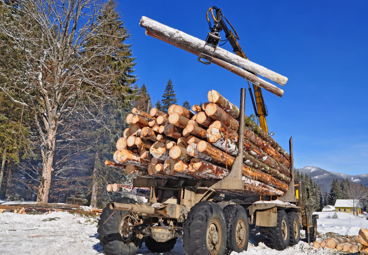 Exports of logs from New Zealand expand 14% in February