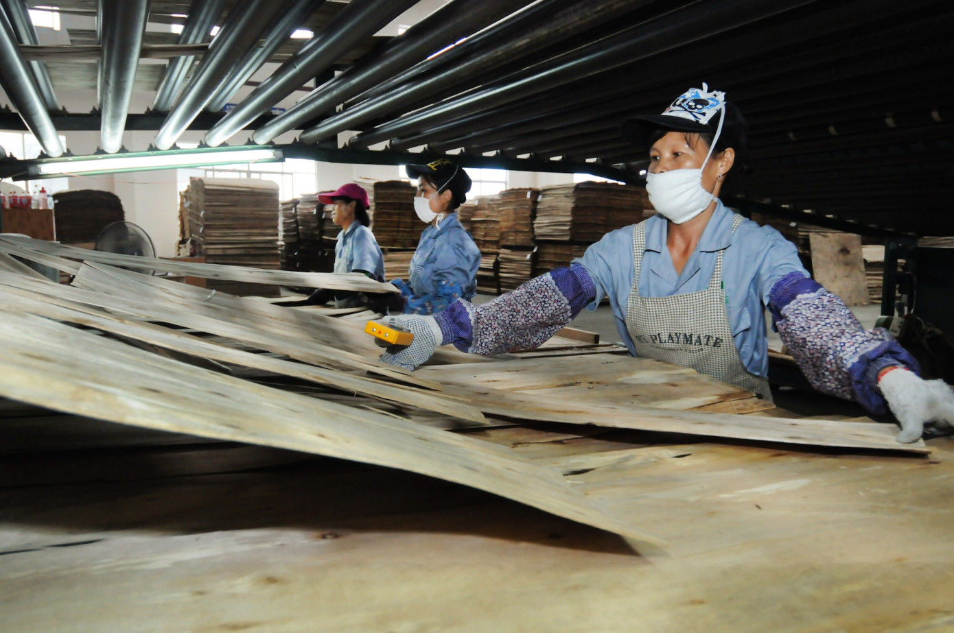 Imports of plywood to Taiwan grow 9% in June