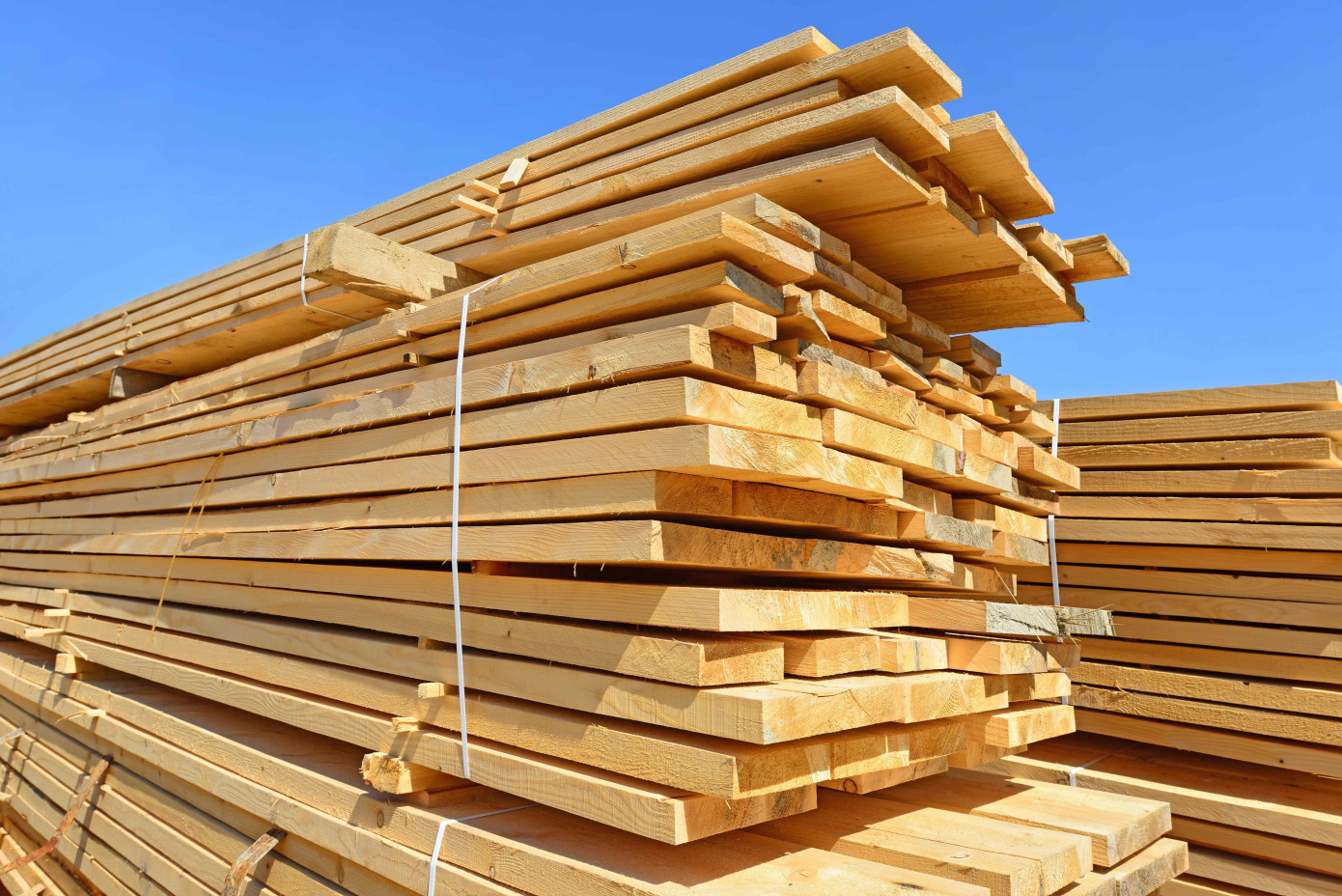 Madison"s Lumber Prices Index holds at $523 mfbm