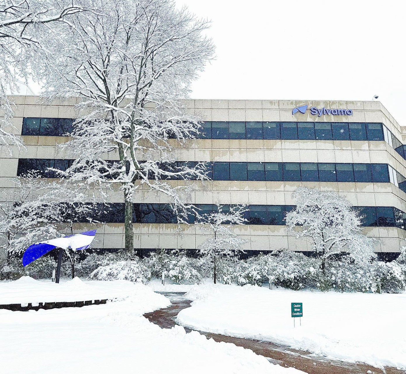 В 4 кв. 2025 г. продажи Sylvamo снизились на 8%