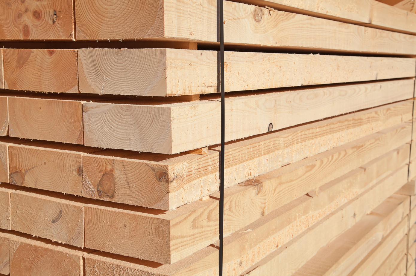 Commerce starts Canada softwood lumber duty review for 2025