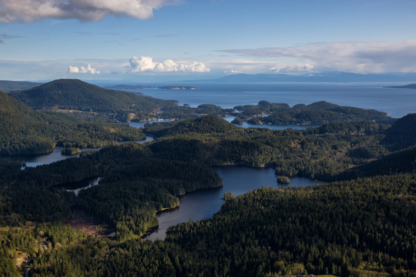 Canada commits $2.8 million to Atlantic forestry projects