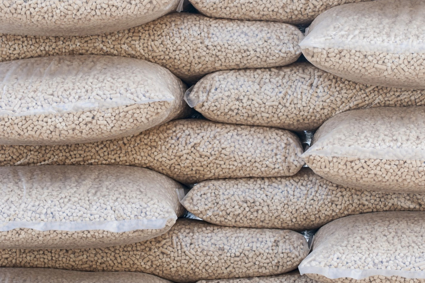 German pellet prices up 26.9% year on year in October