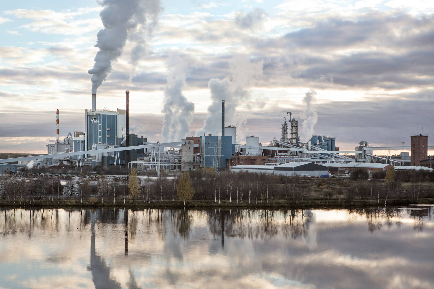 Во 2 кв. 2025 г. продажи Metsä Group снизились на 3,6%