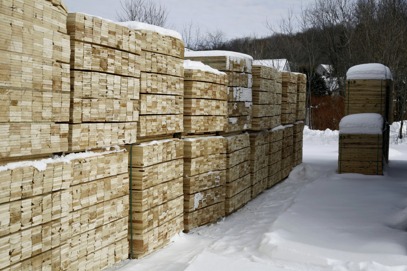 Imports of lumber to Kazakhstan decrease 19% in December
