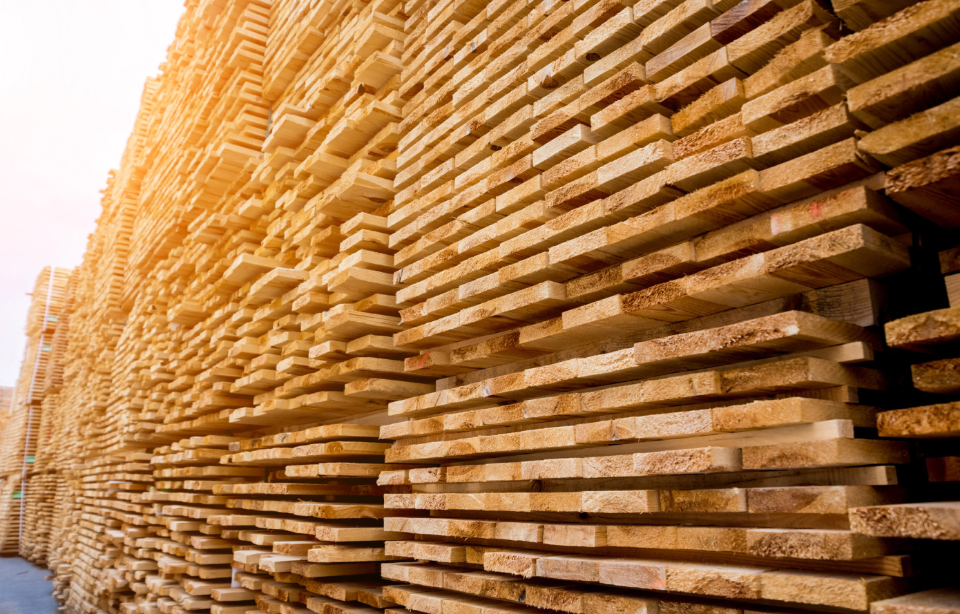Lumber prices fall to 2025 low after 20% August drop