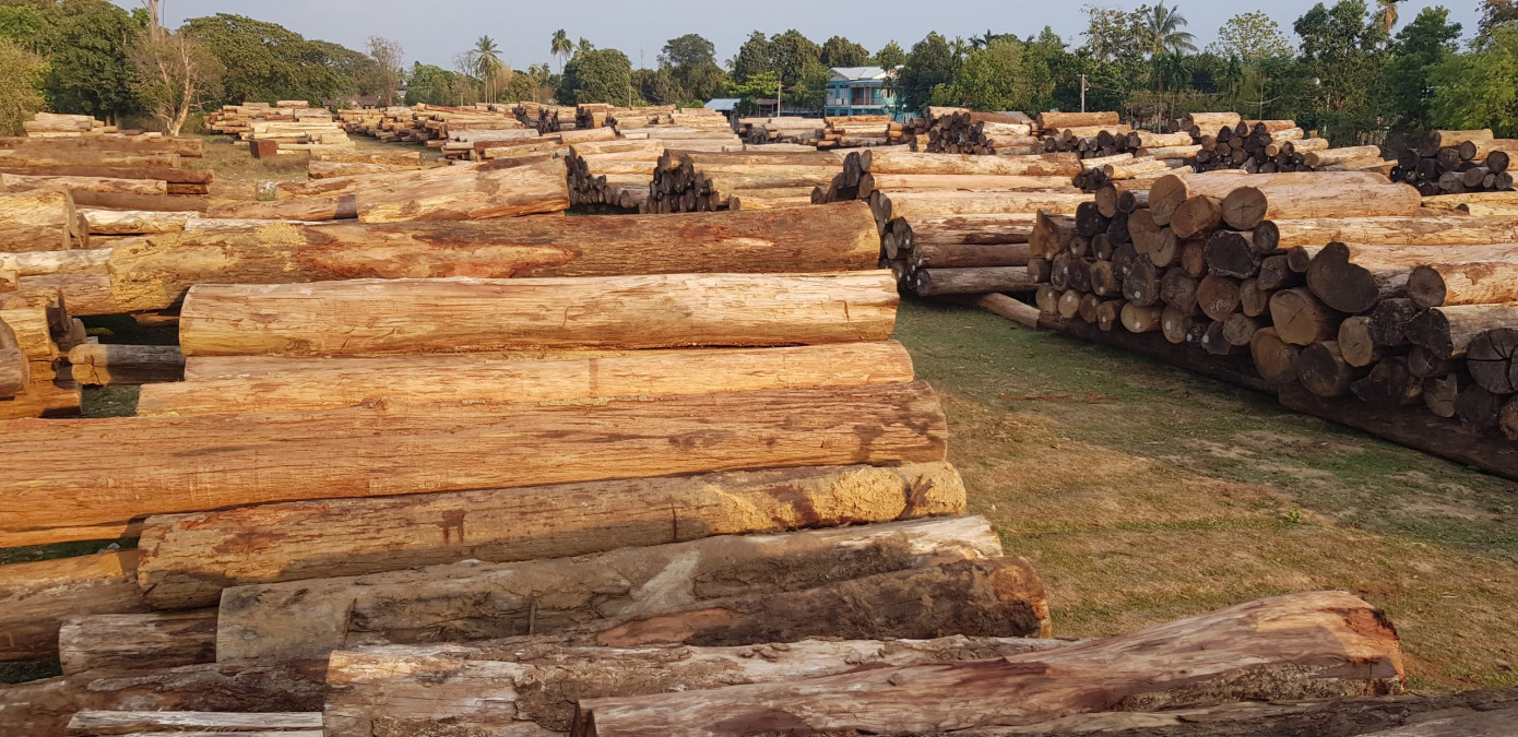 Sunseeker pleads guilty over Burmese teak used on U.S. yachts