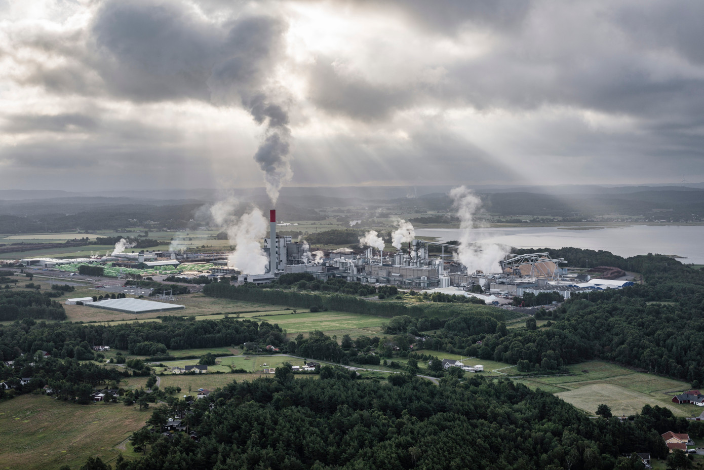 Södra"s pulp business turns profitable in Q3 as deliveries rise