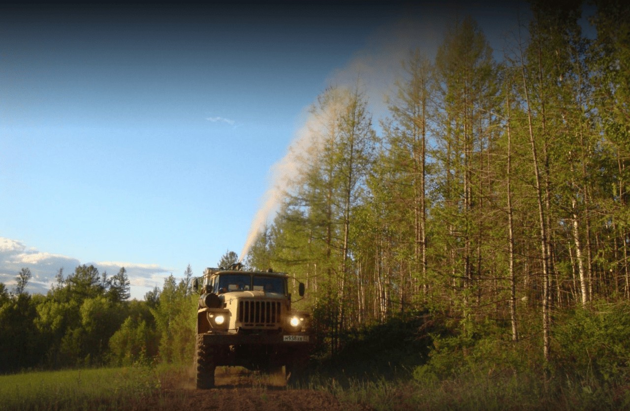 В России от насекомых-вредителей обработают почти 500 тыс. га леса