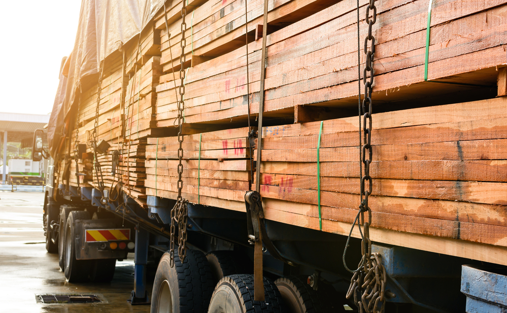 Imports of lumber to Egypt surge 60% in January