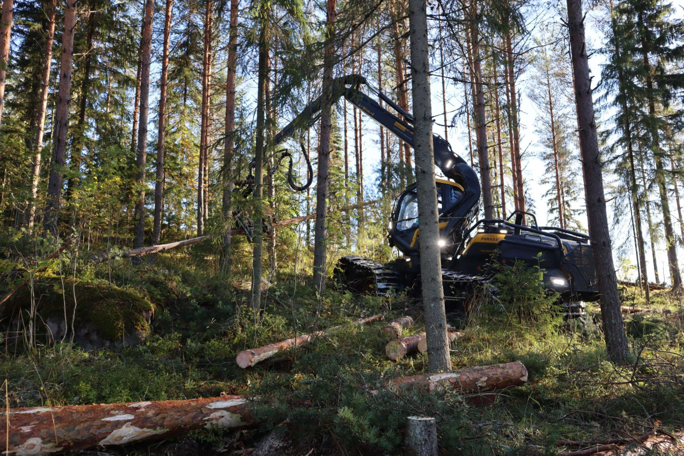 В январе-сентябре 2025 г. продажи Ponsse выросли на 0,7%