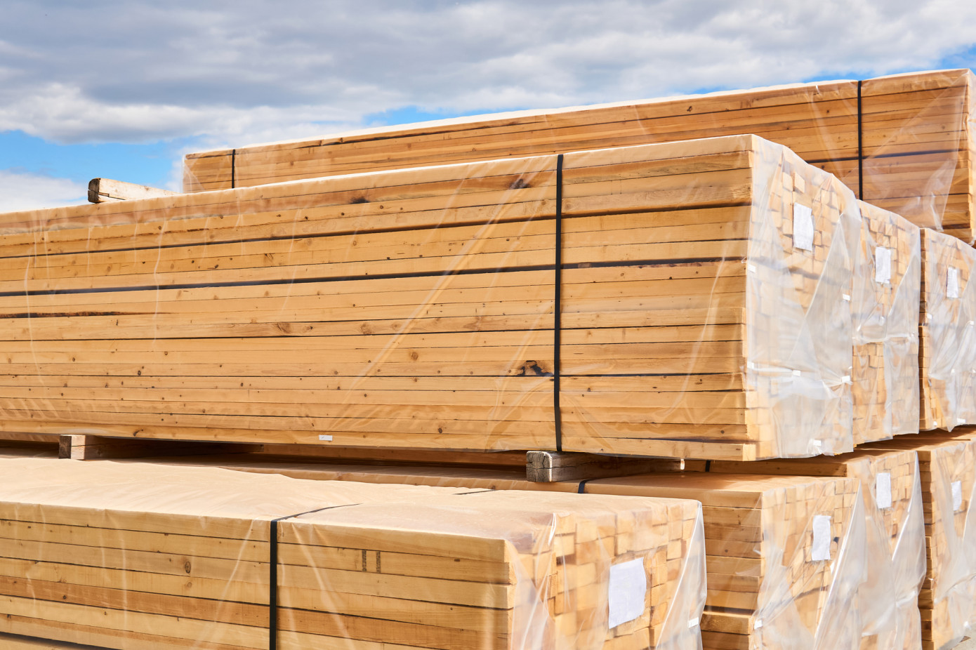 Exports of lumber from Brazil lose 14% in February