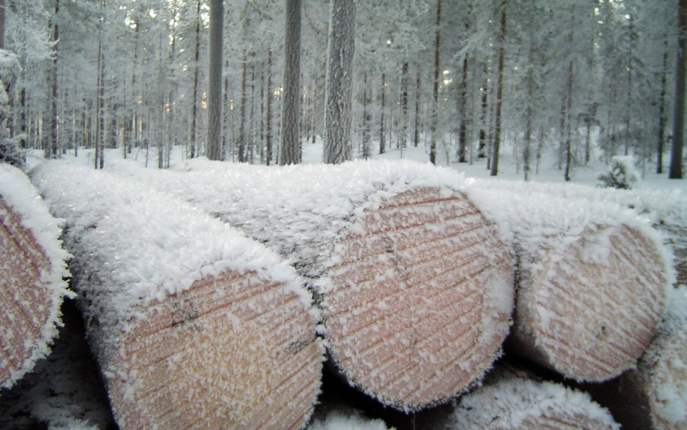 В Швеции снижаются запасы круглого леса