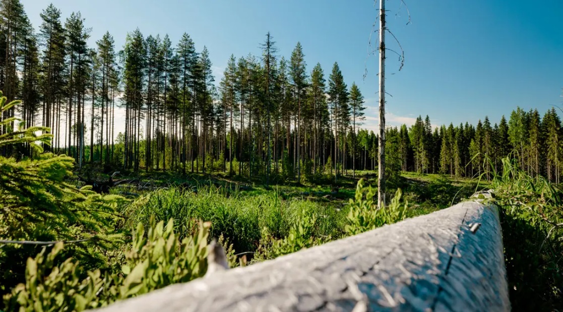 UPM signs Euro 1.25 billion credit facility with 15-bank syndicate